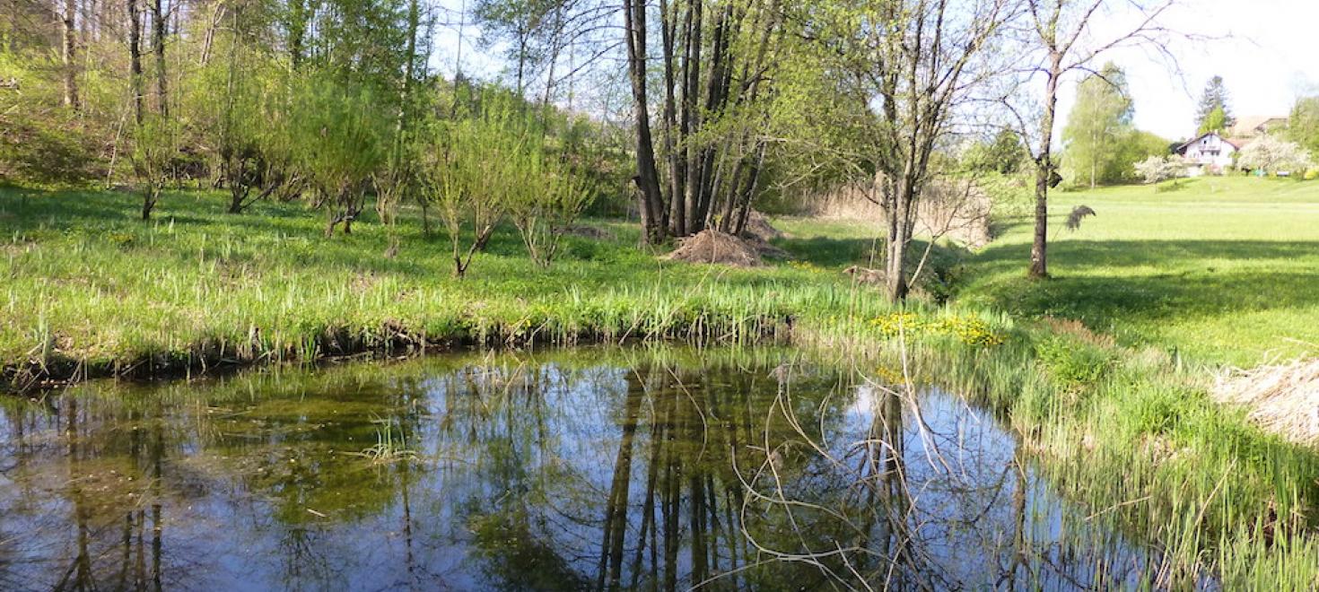Wyssbachweiher